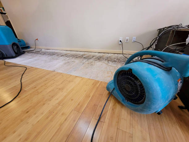 Professional Water Damage Repair technician working in North Miami Beach, FL
